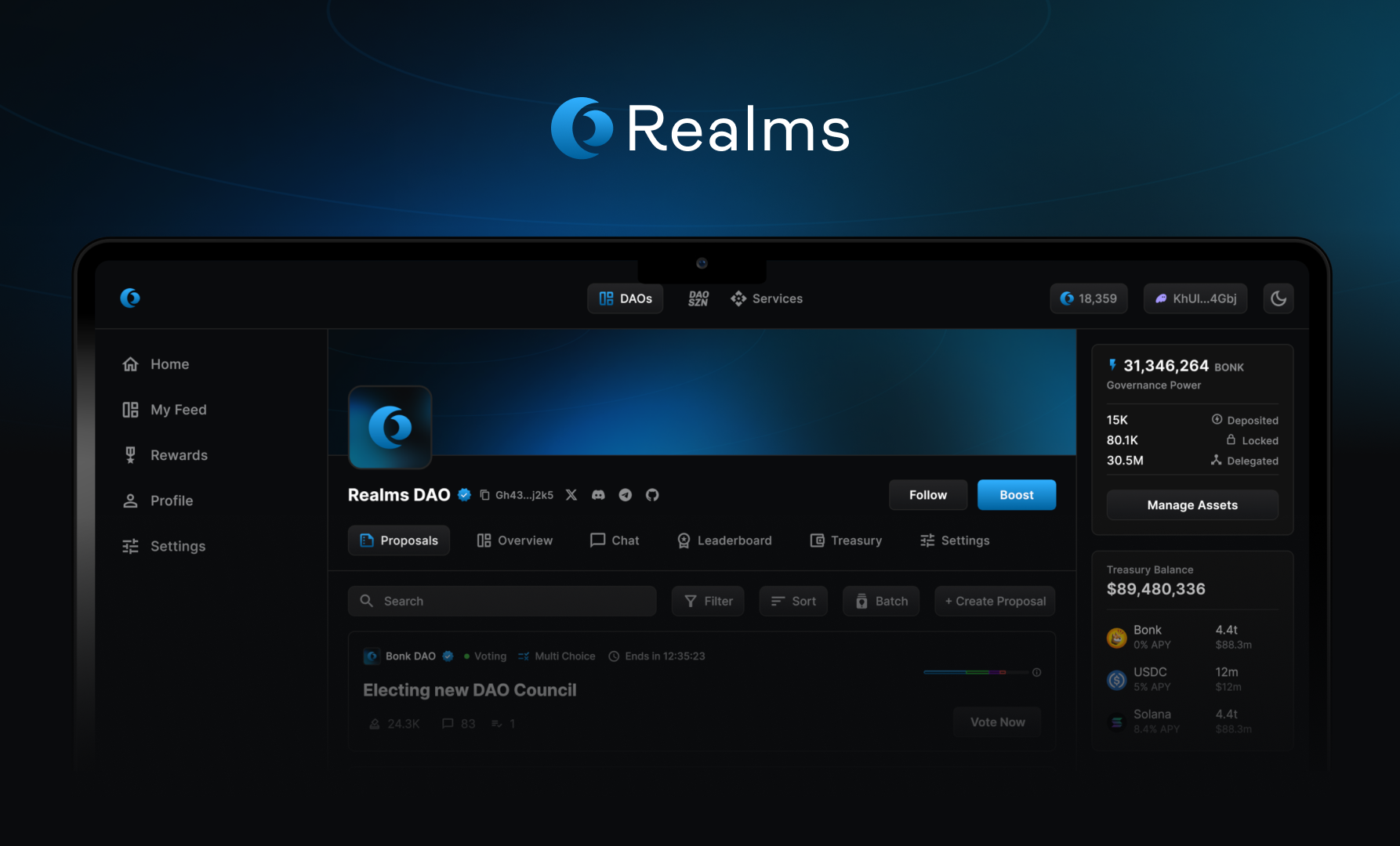 Realms DAO governance platform interface